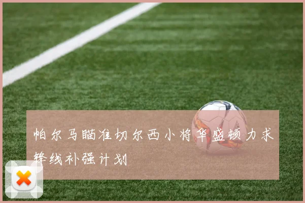 帕尔马瞄准切尔西小将华盛顿力求锋线补强计划