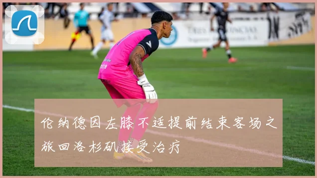 伦纳德因左膝不适提前结束客场之旅回洛杉矶接受治疗